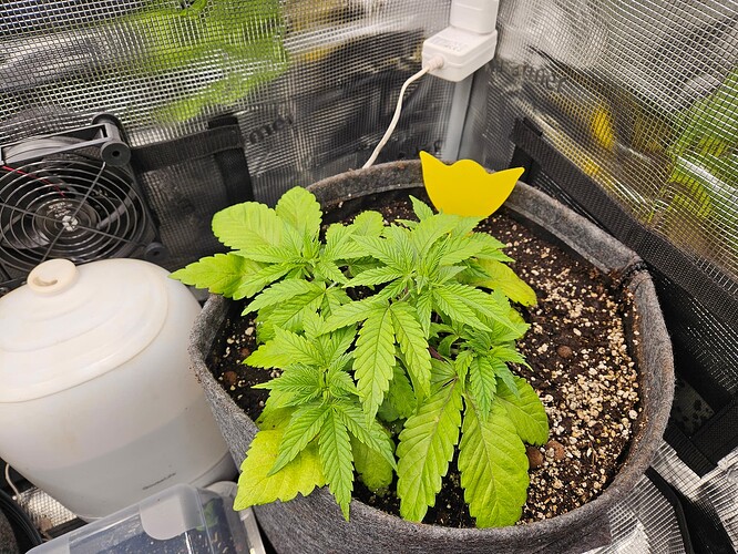 Growreport Bild 34