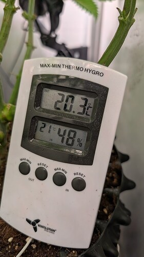 Growreport Bild 13