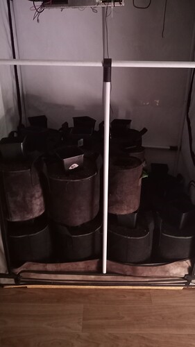 Growreport Bild 4