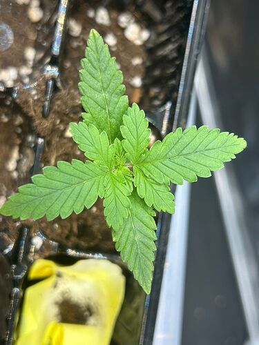 WhatsApp Image 2024-07-28 at 15.55.59(1)