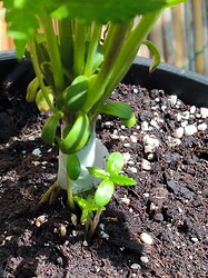 52e5d2ab949a8af5499c75d3e0c8eb4f08fa2a48