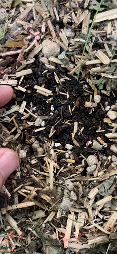 Growreport Bild 6