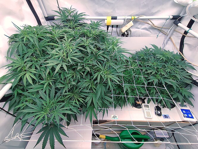 Growreport Bild 3