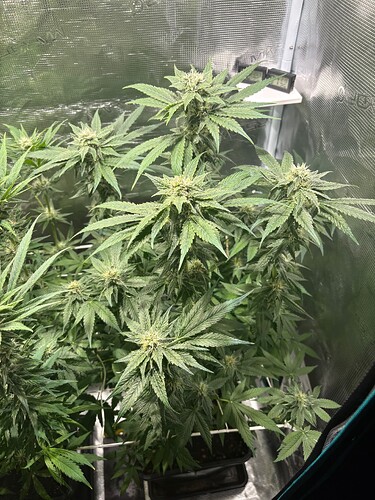 Foto 19.07.25, 05 58 33