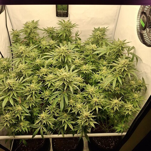 476377314_122166880532293599_7564530814679283166_n