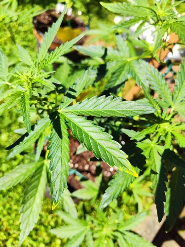 Growreport Bild 15