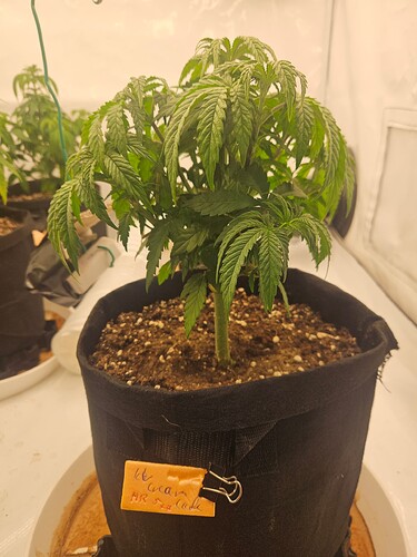 Growreport Bild 10