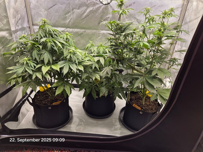 Growreport Bild 13