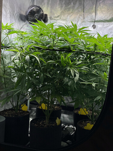 Growreport Bild 19