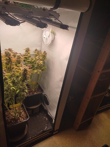Growreport Bild 34