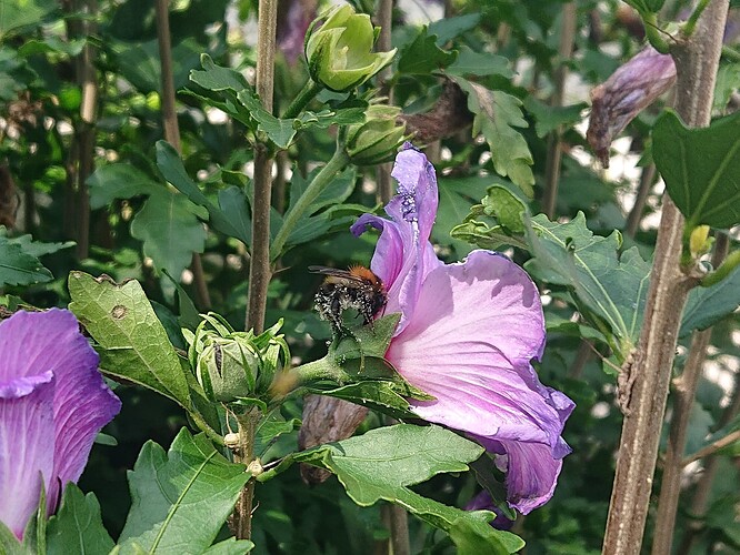 Growreport Bild 16