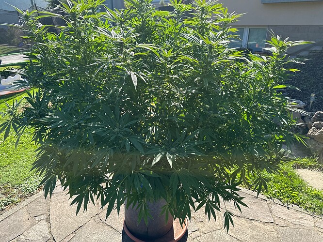 Growreport Bild 38