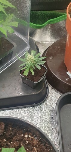 Growreport Bild 10