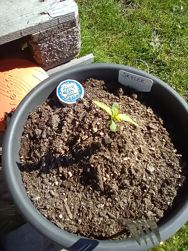 IMG_20240515_095809_5