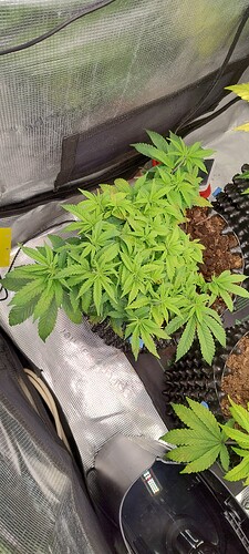 IMG_20251021_102741358_HDR