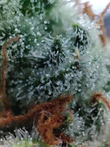 Growreport Bild 22