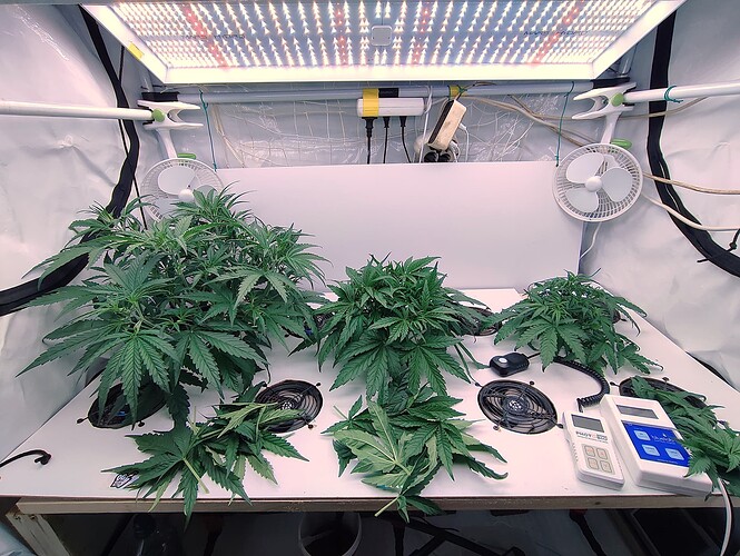 Growreport Bild 9