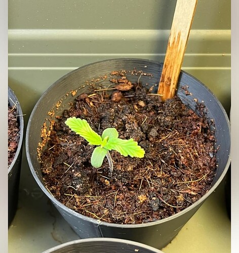 Screenshot_20240504_204808