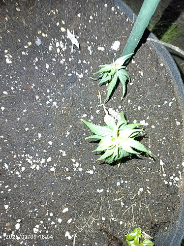 Growreport Bild 14