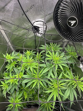 Growreport Bild 12