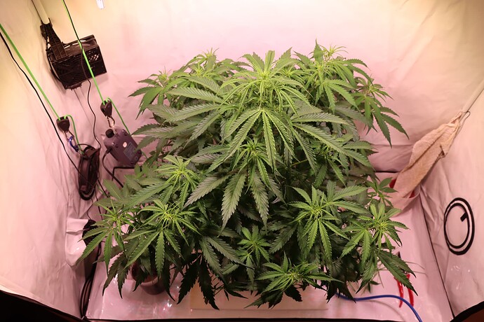 Growreport Bild 7