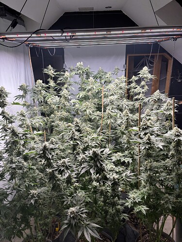 Growreport Bild 10
