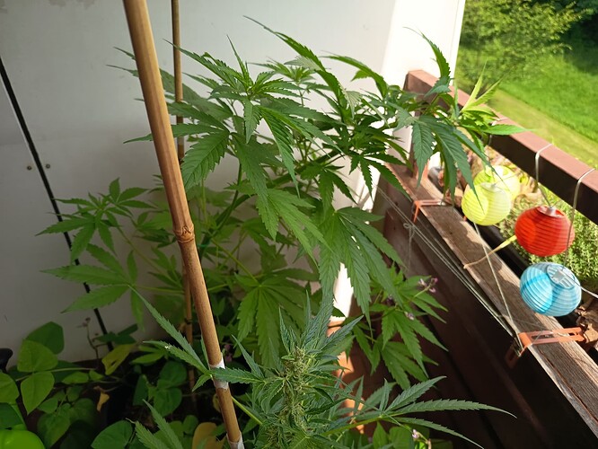 Growreport Bild 14