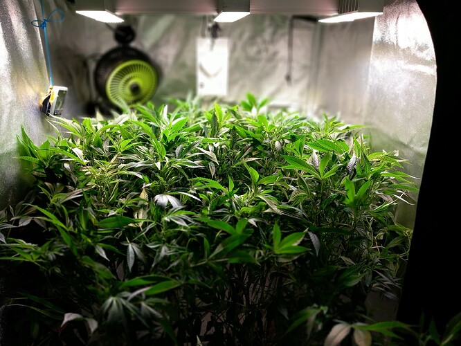 Growreport Bild 22