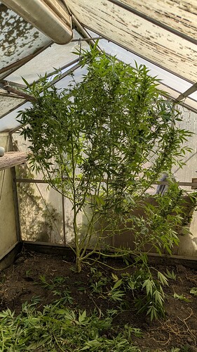 Growreport Bild 15