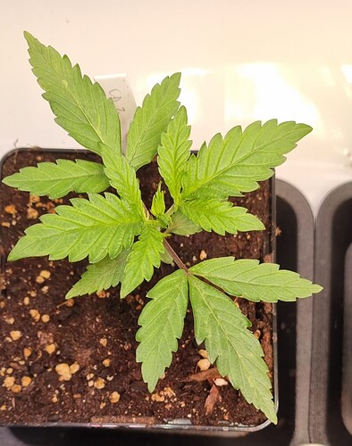 WhatsApp Image 2024-11-06 at 18.30.45