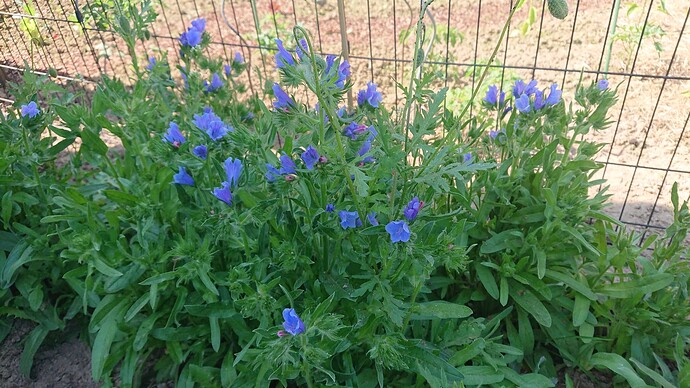 Growreport Bild 32