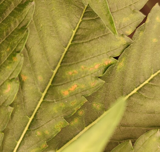Growreport Bild 21