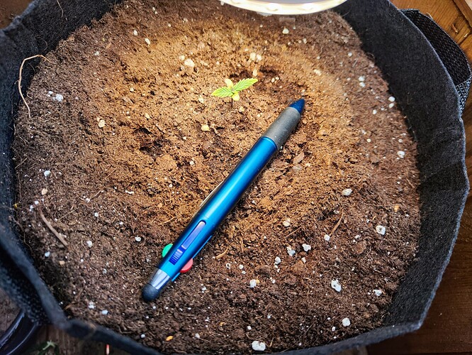 Growreport Bild 12