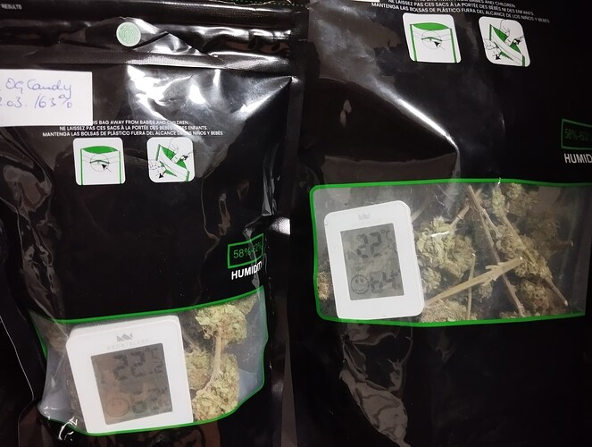 IMG_20250323_203313 - Kopie