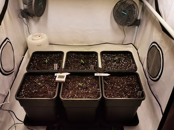 Growreport Bild 1