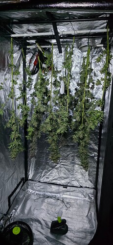 Growreport Bild 88