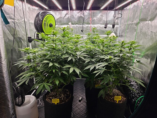 Growreport Bild 16
