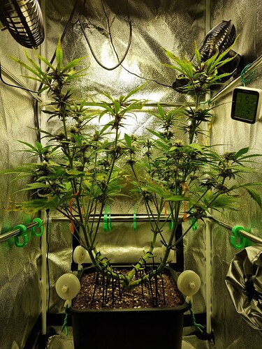 Growreport Bild 9