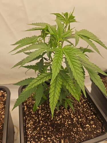 Growreport Bild 16