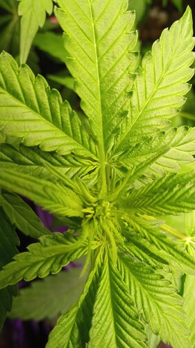 Growreport Bild 12