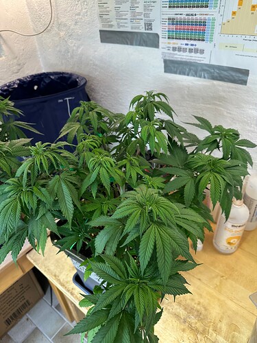 Growreport Bild 12
