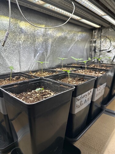 Growreport Bild 10