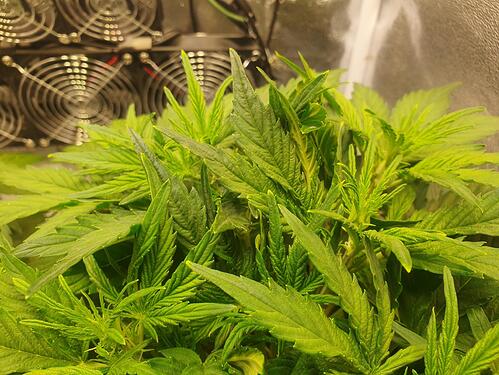 29 Tage_2025-05-25-161957_004