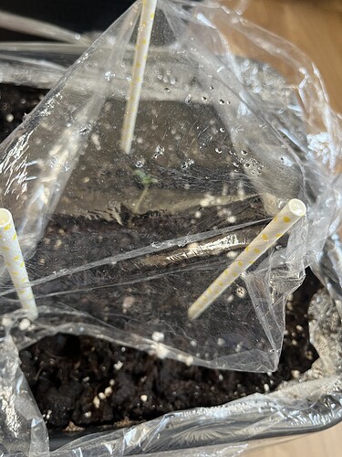 Growreport Bild 14