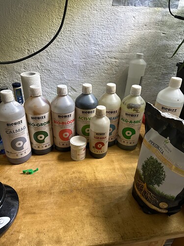 Growreport Bild 28