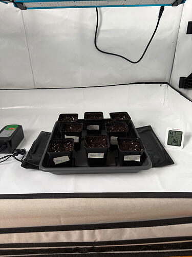 Growreport Bild 14
