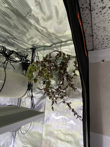 Growreport Bild 5