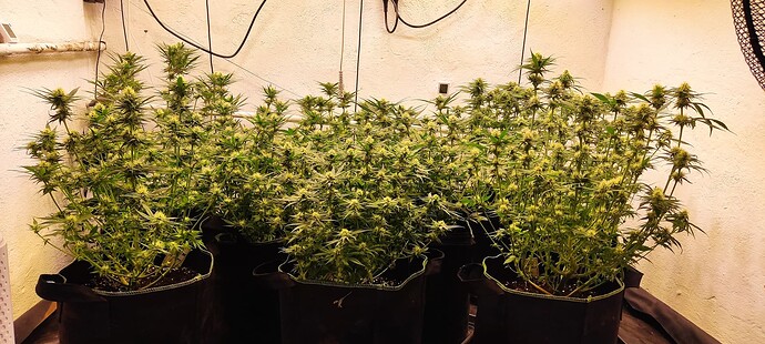 2_Umstellung_30 (1 2_Umstellung_43|690x310 1)