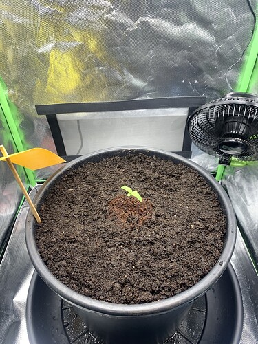 Growreport Bild 3