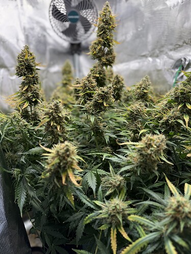 Growreport Bild 21